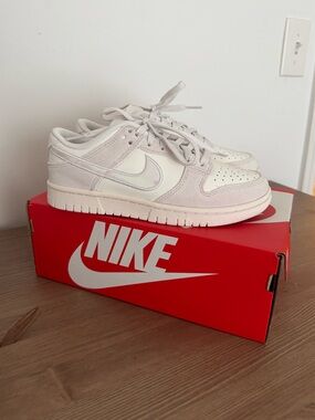 Nike Dunk Low Ridescent Swoosh (Women’s)
